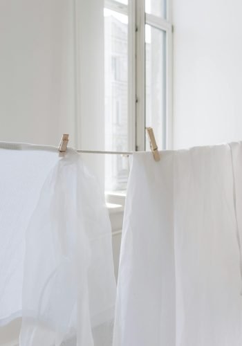 Non-toxic laundry detergents
